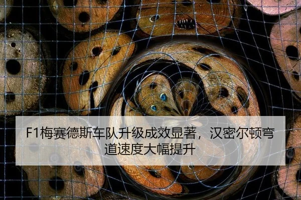mei-sai-de-si-che-dui-sheng-ji-cheng-xiao-xian-zhu-han-mi-er-dun-wan-dao-su-du-da-fu-ti-sheng-3-790.jpg