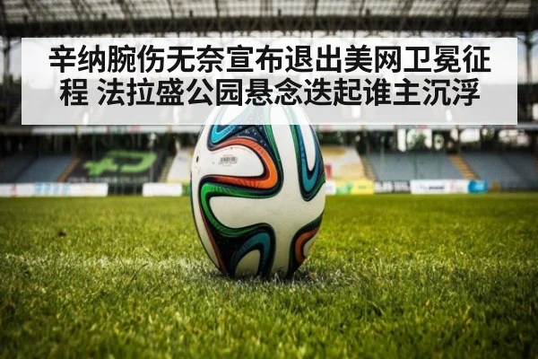 辛纳腕伤无奈宣布退出美网卫冕征程 法拉盛公园悬念迭起谁主沉浮